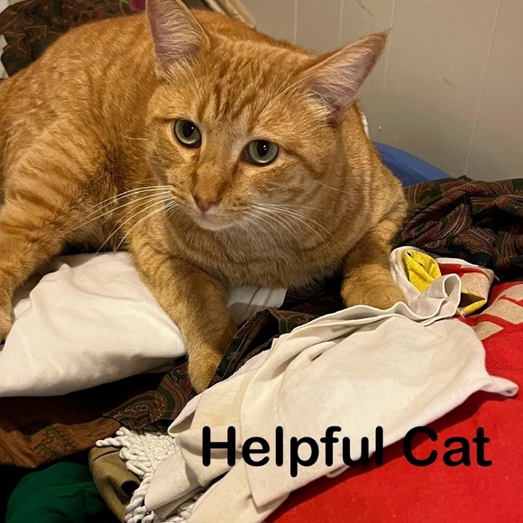 Blue Farm Animal Mug Set of 4  JSNY Country Calico Ceramic - Picture 8 of 8